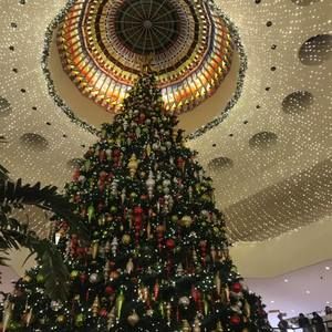 Meet your Posher, Zeferino